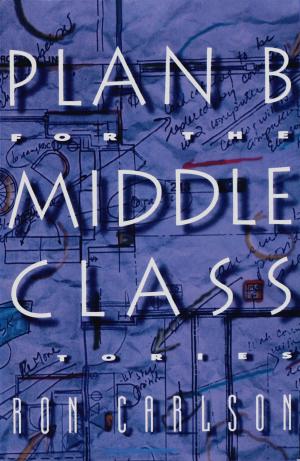 Cover of the book Plan B for the Middle Class: Stories by Terry Marks-Tarlow, Daniel J. Siegel, M.D., Marion Solomon, Ph.D.