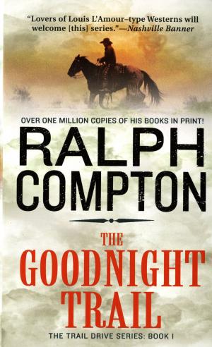 Cover of the book The Goodnight Trail by Brian Malloy