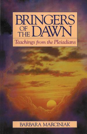 Cover of the book Bringers of the Dawn by Sylvia Leifheit