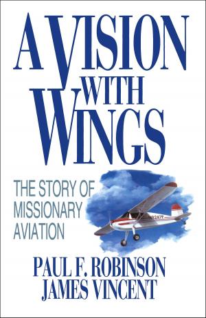 Book cover of A Vision with Wings