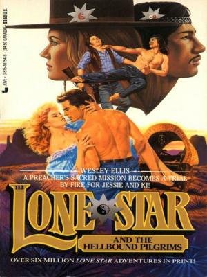 Cover of the book Lone Star 113/hellbo by Beverly Donofrio
