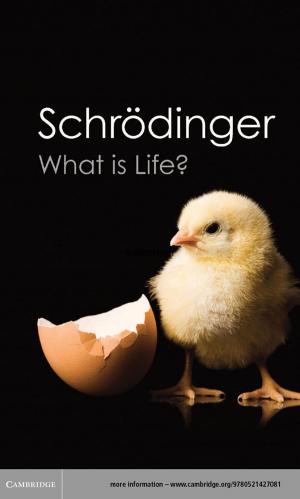 Cover of the book What is Life? by 