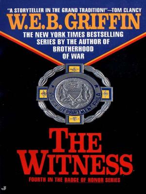 Cover of the book The Witness by Joseph Rousell