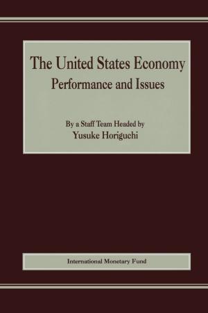 Cover of the book The United States Economy: Performance and Issues by William Johnson