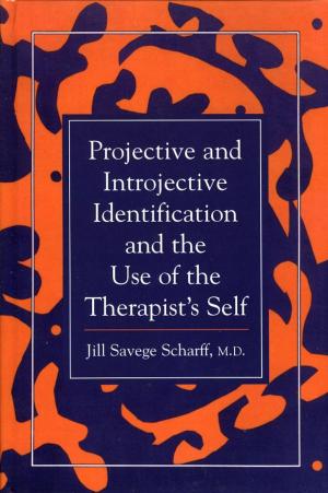 Cover of the book Projective and Introjective Identification and the Use of the Therapist's Self by Léon Wurmser