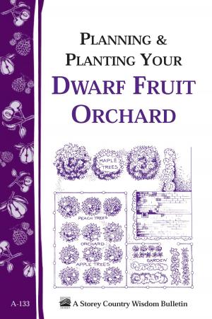 Cover of the book Planning & Planting Your Dwarf Fruit Orchard by Betty Oppenheimer