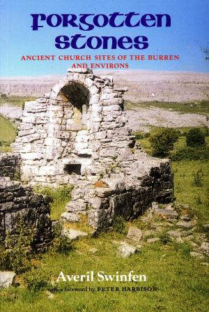 Cover of the book Forgotten Stones by Paul Clements