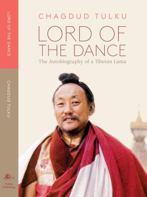 Cover of the book Lord of the Dance by Helena M.