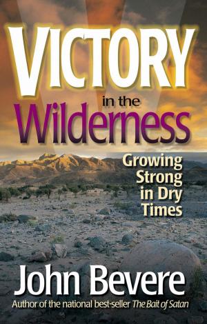 Cover of the book Victory in the Wilderness by Shawn Bolz