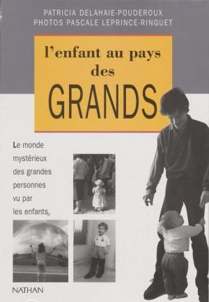 Cover of the book L'Enfant au pays des grands by Jacques Lindecker