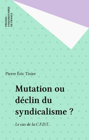 Cover of the book Mutation ou déclin du syndicalisme ? by Monique Carras, Brigitte Hemmerlin