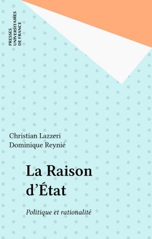 Cover of the book La Raison d'État by Pierre Magnin, Paul Angoulvent, Anne-Laure Angoulvent-Michel
