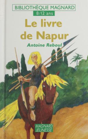 Cover of the book Le livre de Napur by Françoise Parturier
