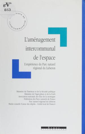Cover of the book L'Aménagement intercommunal de l'espace by Suzanne Prou