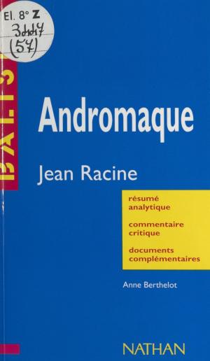 Cover of the book Andromaque by Michel Brice
