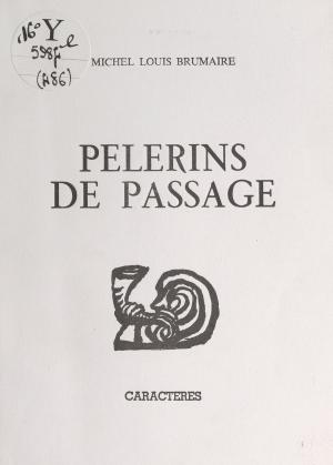 Cover of the book Pèlerins de passage by Lucie Bazire, Bruno Durocher