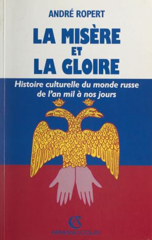 Cover of the book La misère et la gloire by David Scheinert