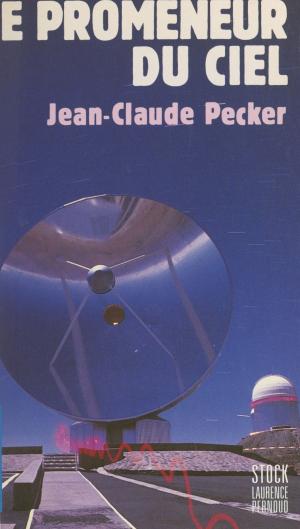 Cover of the book Le promeneur du ciel by Simonne Jacquemard