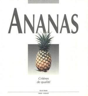 Cover of the book Ananas by Paul Nicolas, Denis Tourvieille de Labrouhe, Felicity Vear, Etienne Pilorgé