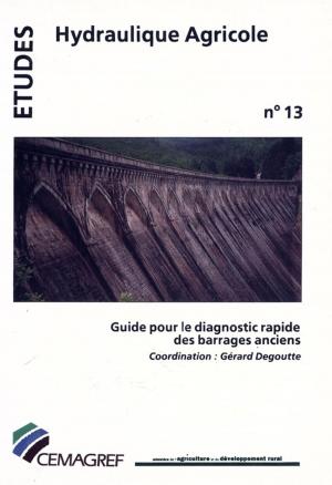 Cover of the book Guide pour le diagnostic rapide des barrages anciens by Stéphane Blancard, Nicolas Renahy, Cécile Détang-Dessendre
