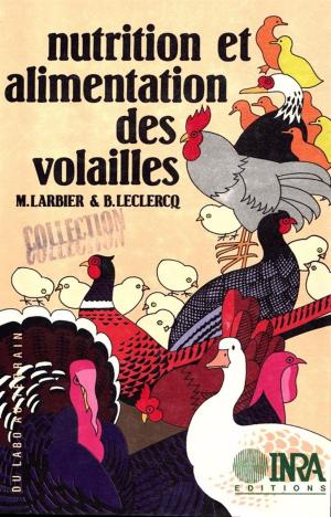 Cover of the book Nutrition et alimentation des volailles by Jean-Yves Jamin, Mohamed Gafsi, Jacques Brossier, Patrick Dugué