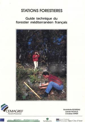 Cover of the book Stations forestières by Denis Despréaux, Christian Cilas