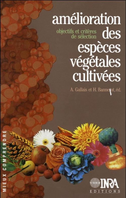 Cover of the book Amélioration des espèces végétales cultivées. Objectifs et critères de sélection by André Gallais, Hubert Bannerot, Quae