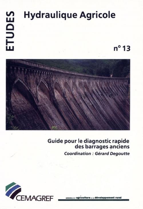 Cover of the book Guide pour le diagnostic rapide des barrages anciens by Collectif, Quae