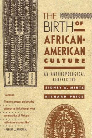 bigCover of the book The Birth of African-American Culture by 