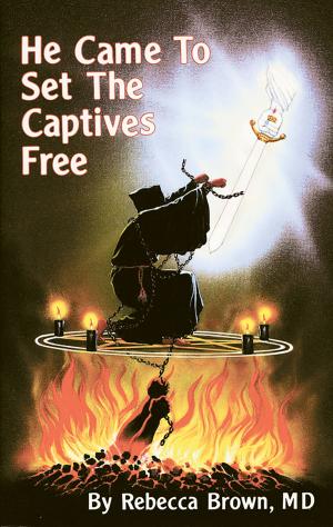Cover of the book He Came To Set the Captives Free by Paul Perkins