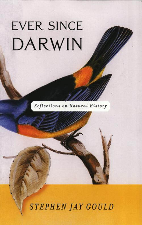 Cover of the book Ever Since Darwin: Reflections in Natural History by Stephen Jay Gould, W. W. Norton & Company