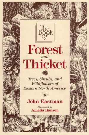 Cover of the book The Book of Forest & Thicket by Alice Beatty, Mary Sargent
