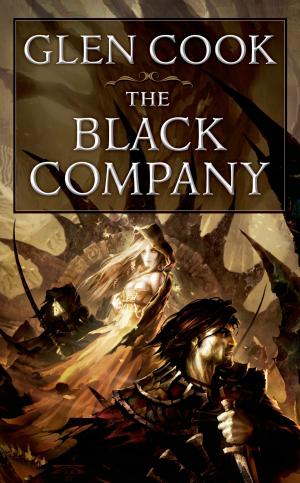 bigCover of the book The Black Company by 