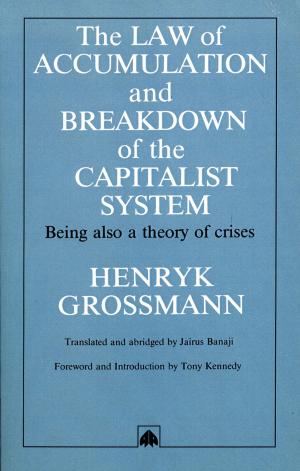Cover of Law of Accumulation and Breakdown of the Capitalist System