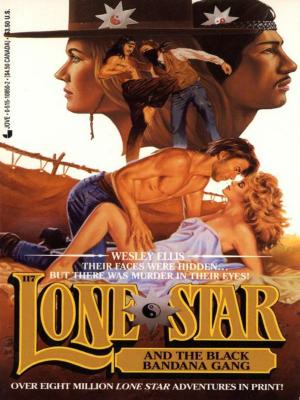 Book cover of Lone Star 117/black