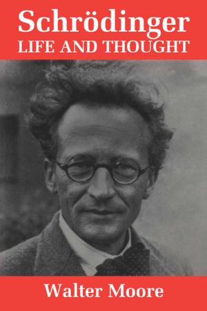 Cover of the book Schrödinger by Massoud Kaviany