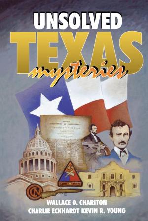 Cover of the book Unsolved Texas Mysteries by Jason Kelly