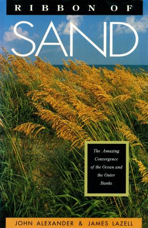 Cover of the book Ribbon of Sand by Jeff Backhaus