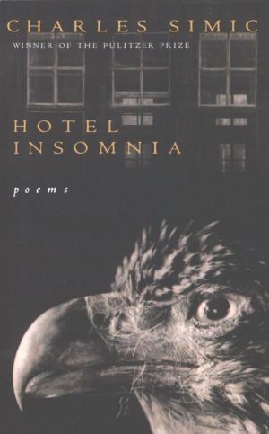 Book cover of Hotel Insomnia