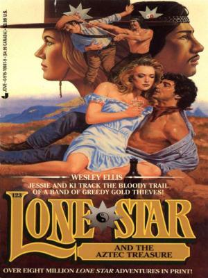 Book cover of Lone Star 123/aztec