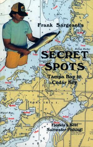 Book cover of Secret Spots--Tampa Bay to Cedar Key