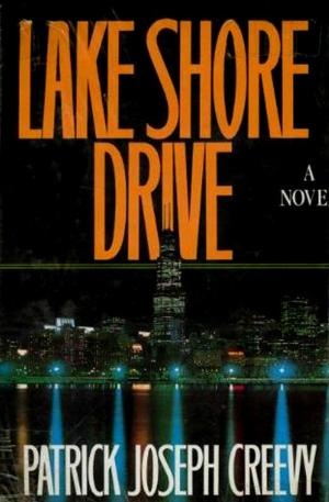 Cover of the book Lake Shore Drive by Richard S. Wheeler