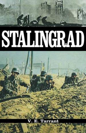 Cover of the book Stalingrad by Norman Friedman