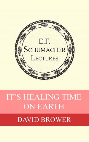 Cover of the book It's Healing Time on Earth by Christopher Houghton Budd, Hildegarde Hannum