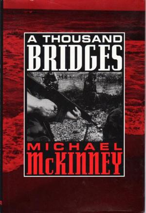 Book cover of A Thousand Bridges