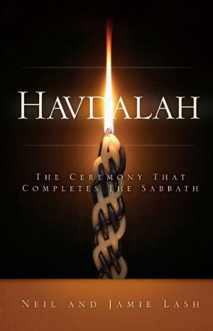 Cover of the book Havdalah by Barney Kasdan