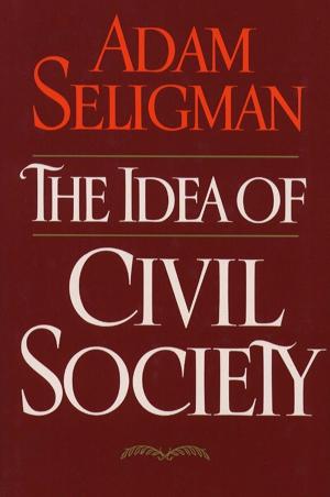 Cover of the book Idea Of Civil Society by Anne Roiphe