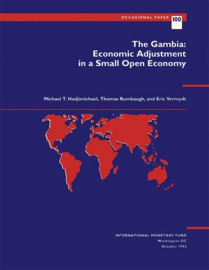 Cover of the book The Gambia: Economic Adjustment in a Small Open Economy by Mark Mr. Horton, George Mr. Tsibouris, Wojciech Maliszewski, Mark Mr. Flanagan