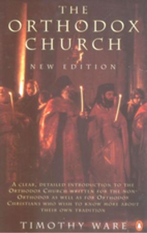 Cover of the book The Orthodox Church by Steve Jones