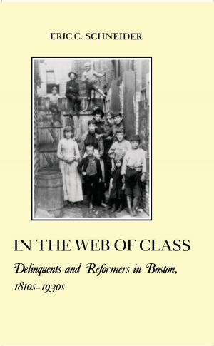 Cover of the book In the Web of Class by Tanya Hart